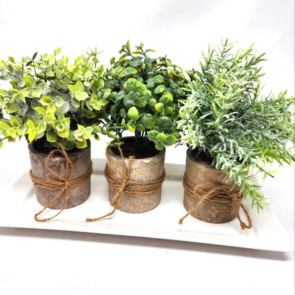 New Faux Succulents Mini Potted Plants‎ Set/3 Faux Frosted Plants in Planters